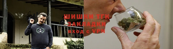 дживик Бородино