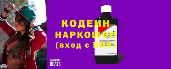 дживик Бородино