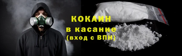 дживик Бородино
