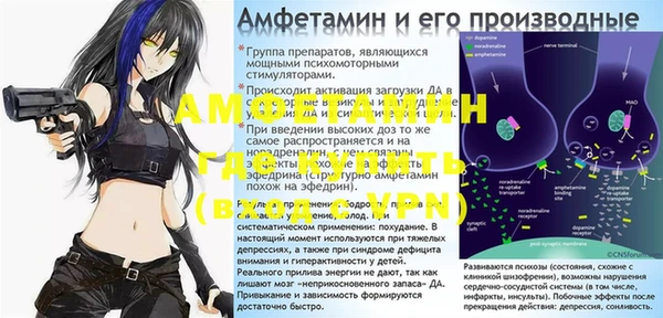 дживик Бородино