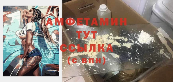 дживик Бородино